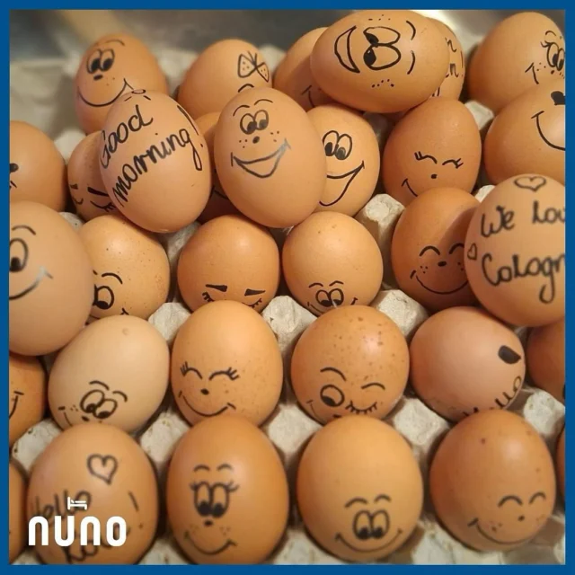 #kuriosefeiertage
Heute ist Welttag der Eier🥚🥚🥚
Können wir🙃
Bucht unser leckeres Smart-Frühstück oder für Frühstücksmuffel und Eilige das Frühstück to go (dann allerdings ohne Ei😉) Natürlich sind die Eier von glücklichen Hühnern🐔 und Bio! 
#curiousholidays
Today is World Egg Day🥚🥚🥚
One of our easiest exercises 🙃
Book our delicious smart breakfast or, for those in a hurry, breakfast to go (but then without eggs 😉). Of course, the eggs are from happy hens🐔 and are organic!
#hotelbreakfast #hotelfrühstück #nunohotelköln #nuno #goldhotel #booknow (Link in Bio) #hotelköln #köln #cologne #businesstravel #businesstrip #kwartierlatäng besthotels #citycenterhotel #visitcologne #citytrip home away from home #kölnhotel #kölncitiy #hotelstay #followme #bio #organic #cologne_bestplace