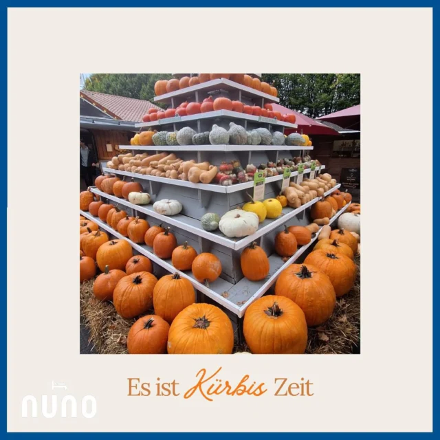 Herbstzeit, Kürbiszeit 🎃 Unser Chef war shoppen und wir dekorieren die Hotellobby in Kürbisvielfalt – Größen, Farben, alles for cuteness. Die schönste Seite des Herbstes: Die farbenfrohe Vielfalt. Habt ihr schon dekoriert – für den Herbst 🍂🍁🌰und/oder Halloween 🎃👻? Schaut doch gerne auf einen leckeren Schamong-Kaffee in unsere Hotellobby-Café vorbei 🧡 
Autumn time, pumpkin time 🎃 Our boss went shopping and we decorated the hotel lobby with a variety of pumpkins – different sizes, colours, all cute. The most beautiful thing about autumn: the colourful variety. Have you already decorated for autumn 🍂🍁🌰 and/or Halloween 🎃👻? Feel free to stop by our hotel lobby café for a delicious Schamong coffee 🧡 #Kürbis #pumkins #nuno #nunohotel #goldhotel #cityhotel #hotellobby #hoteldesign #citycenterhotel #köln #hotelköln #booknow (link in bio) #cologne #visitcologne #hotelsuche