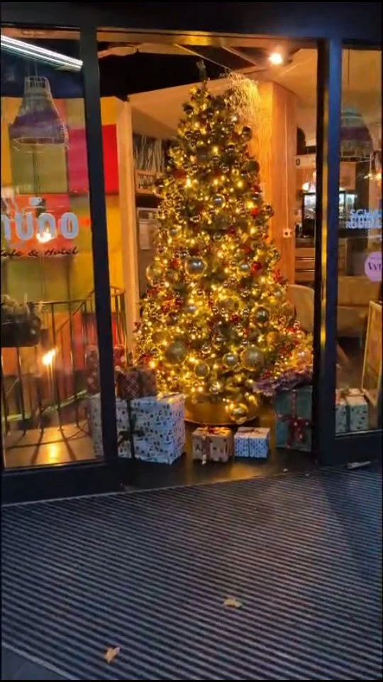 Happy 1. Advent🎄  Schon Baum-Magic zu Hause?✨

Hello 1st Advent ✨ Is your tree up yet🎄?

 #nuno #nunohotel #hoteldesign #hotellobby #goldhotel #kommtunsbesuchen #booknow (link in bio) #hotelköln #weihnachtsvibes #köln #cologne #cityhotel #citytrip #citycenterhotel