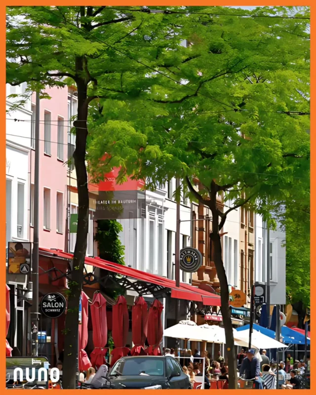 ✨ Sehenswürdigkeiten in Köln – Teil 6 /12 Schicke Innenstadtviertel 
Neben unserem heiß geliebten Kwartier Latäng 📍 un liegt das Belgische Viertel – ein fester Bestandteil jedes Szene-Stadtführers.
Das Viertel in der Kölner Innenstadt ist bekannt für Boutiquen, Galerien und Cafés und zieht ein trendiges Publikum an🆒 – perfekt, um tagsüber durch Köln zu streifen.

Das bunte Kwartier Latäng dagegen steht für urbanes Stadtleben mit hoher Kneipendichte: Hier wird die Nacht ganz einfach zum Tag. 🌙✨ 
Köln ist cool 🧡 Kommt uns besuchen 🧡 ✨

Sights in Cologne – Part 6/12 Chic city centre districts
Next to our beloved Kwartier Latäng🚩 is the Belgian Quarter – an integral part of every trendy city guide.
This district in Cologne's city centre is known for its boutiques, galleries and cafés and attracts a trendy crowd🆒 – perfect for strolling through Cologne during the day.

The colourful Kwartier Latäng, on the other hand, stands for urban city life with a high density of pubs: here, night simply turns into day. 🌙✨ 
Cologne is cool 🧡 Come and visit us 🧡

#nunohotel #cityhotel #hotelköln #citytrip #visitcologne
BOOK NOW 💻 (Link in Bio)