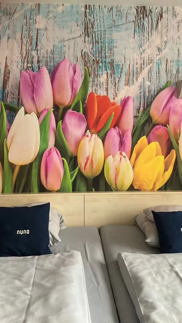 #roomtour Hier liegt Ihr richtig🛏️ Dein Bett für die Nacht im NUNO? 🌛
room tour This is the right place to sleep 🛏️
Your bed for the night at NUNO? 🌛

#nunohotel #cityhotel #hotedesign #hotelköln