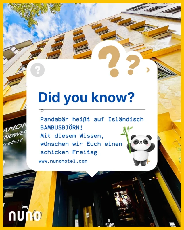 FUN FACT FRIDAY 🐼
#weisstebescheid 
Kommt uns besuchen 💛 wir wissen Bescheid 😉😇💛

In Icelandic, a panda is called a BAMBUSBJÖRN!
(=BambooBjörn )
With that in mind, 
we wish you a lovely Friday 🐼
#justsoyouknow
Come and visit us 💛We're in the know😉😇💛

#nunohotel #visitcologne #cityhotel #hotelköln 
book now (link in bio)